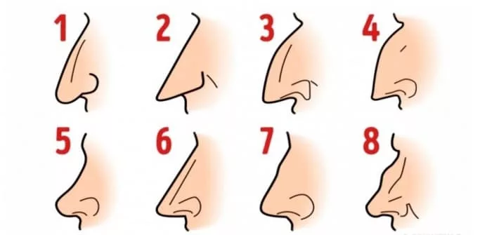 What Kind Of Nose Do You Have? THIS Is What It Says About Your Personality!