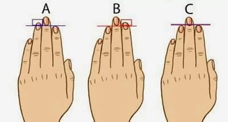 Your Fingers Can Tell You A Lot About Your Personality. What Kind Of Fingers Do You Have?