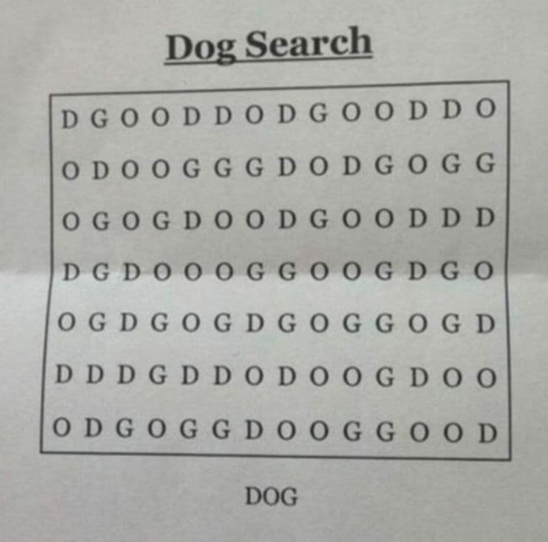 This Word Search Is Baffling The Internet! Can You Solve It?