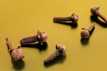 4 Reasons Why Cloves Are Good For Your Health
