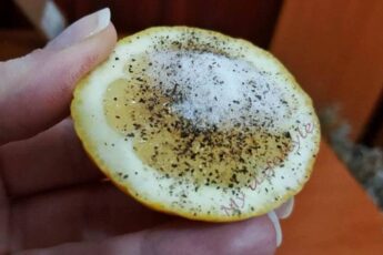 A Lemon, Salt And Pepper Are All You Need To Solve These Problems