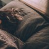 5 Facts About Dreams And Sleep Everyone Should Know