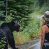 Woman Follows Bear into the Forest After It Unexpectedly Approaches Her at Bus Stop