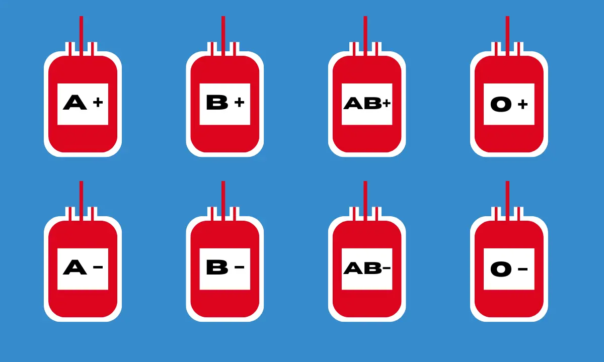 Your Blood Type Can Reveal Surprising Insights About You. What Does Your Blood Type Say?