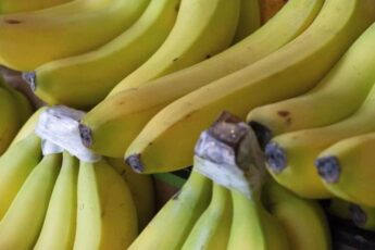 These 9 Health Benefits Are Why You Should Eat A Banana Every Day