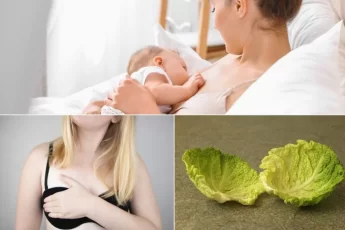 Cabbage For Breastfeeding Moms: Using Cabbage Leaves While Breastfeeding