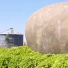 You Won’t Believe What’s Inside This Giant Potato – It’s Not What You Think!