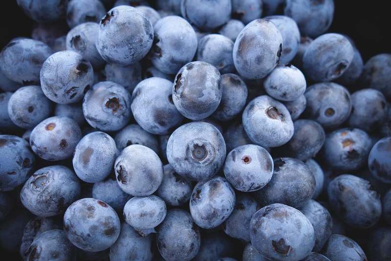 Do Blueberries Deserve To Be Called A Superfood?